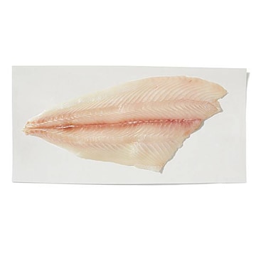Fluke Fillet, Fresh
