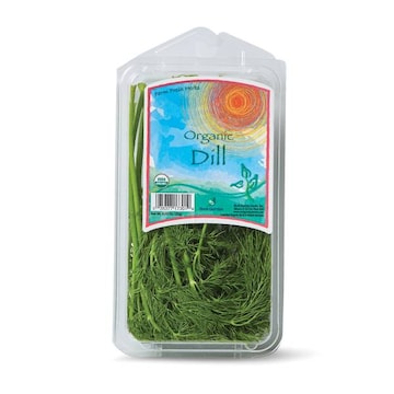 Rock Garden Dill, Organic