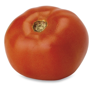 Grainger Tomatoes
