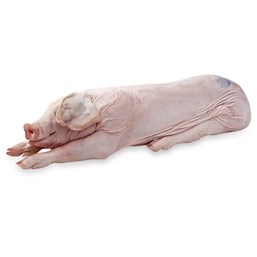 Whole Roasting Pig 50-100 Pounds Average Weight, Sold Frozen