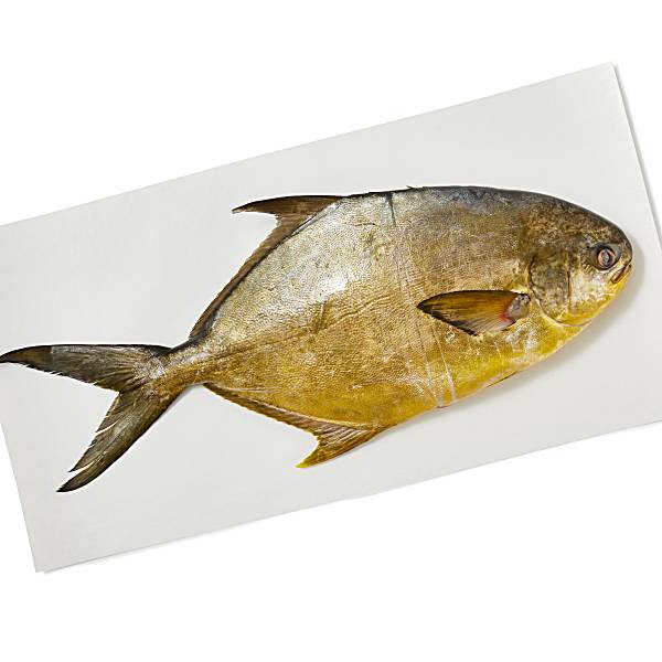 Whole Pompano Fresh, Never Frozen, Farm Raised Publix Super Markets