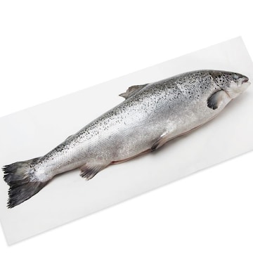 Salmon, Whole, Fresh, Farmed, Responsibly Sourced