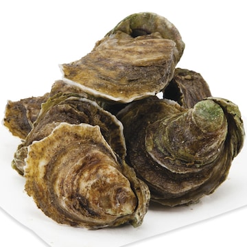Oysters Live, Wild or Farmed