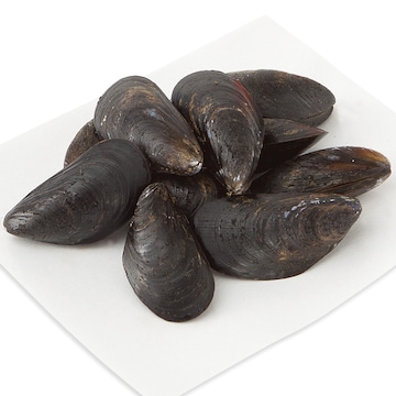 GreenWise Mussels, Sustainably Sourced, Farmed, Live