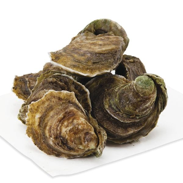 Oysters, Blue Pointe, Live, Wild | Publix Super Markets