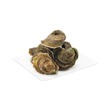 Chunu Oysters, Shell On