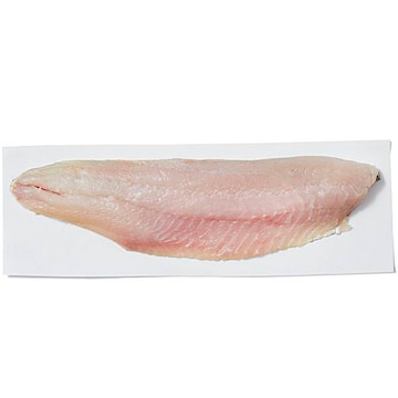 Pike Fillets Fresh, Never Frozen, Wild Harvested