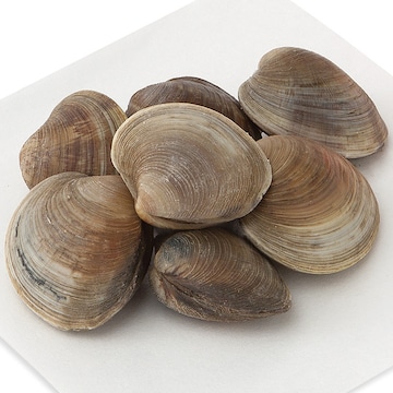 Littleneck Clams, Live, Farm Raised