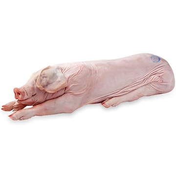 Whole Roasting Pig 21-50 Pounds Average Weight, Sold Frozen