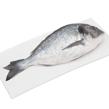 Whole Daurade (Robalo) Fresh, Never Frozen, Farm Raised