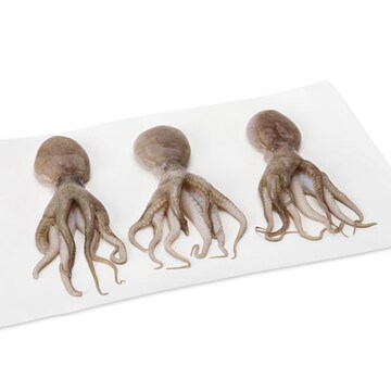 Baby Octopus, Previously Frozen, Wild