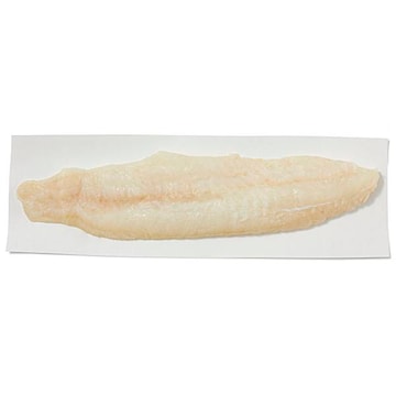 Cusk Eel Fillets Fresh, Never Frozen, Wild Harvested