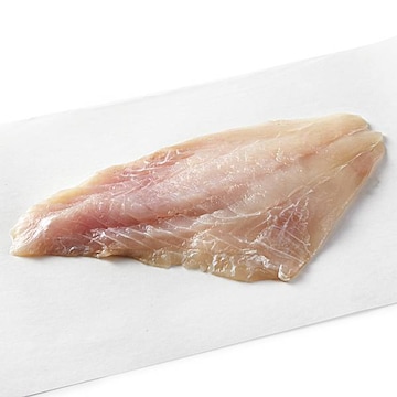 Triggerfish Fillets Fresh, Never Frozen, Wild Harvested