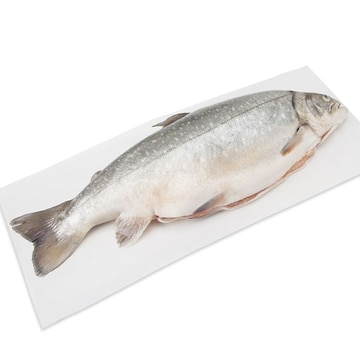 Whole Arctic Charr, Fresh, Responsibly Sourced