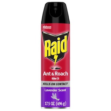 Raid Ant and Roach Killer Indoor and Outdoor Insecticide Spray, Lavender Scent, 17.5oz