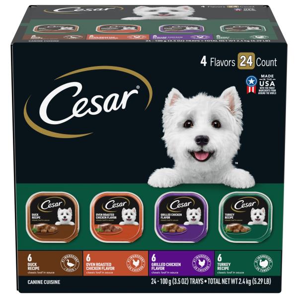 Publix cesar 2025 dog food coupon