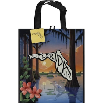 Publix Bag, Florida