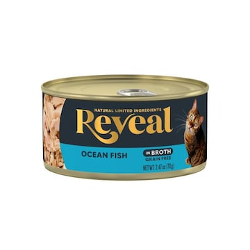 Reveal Ocean Fish in Broth